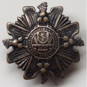 Odznaka pamiątkowa “Orlęta” Obrońcom Kresów Wschodnich, 1919