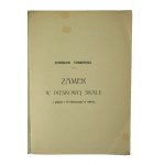 TOMKOWICZ Stanisław - Zámok v Pieskovej Skale s plánom a 10 ilustráciami v texte / Správa a publikácia Oddelenia Spoločnosti na ochranu poľských pamiatok umenia a kultúry za rok 1903