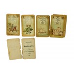 [19th century - Tarot] Cards foretelling the future, Cartes Lenormand, made by B. Dondorf, Frankfurt, chromolithographs, COMPLETE with instructions and case, 1884.
