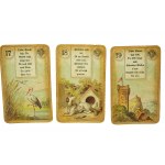 [19th century - Tarot] Cards foretelling the future, Cartes Lenormand, made by B. Dondorf, Frankfurt, chromolithographs, COMPLETE with instructions and case, 1884.