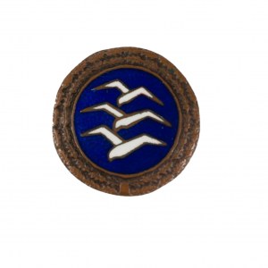 Glider badge of category C, called 