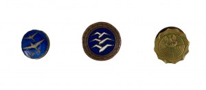 Glider badge of category C, called 