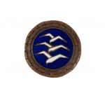 Odznaka szybowcowa kategorii C, zwana trzema mewkami, pamiątka po płk. pilocie Januszu Mościckim, dodatkowo dwie inne odznaki