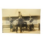 [Letectvo druhej republiky] Plukovník pilot Janusz Mościcki (1906-1985). Zbierka unikátnych fotografií z obdobia druhej republiky týkajúcich sa letectva. Dęblinova škola orlov, Aeroklub Poznaň, muži a ženy piloti, lietadlá RWD, Junkers G24, Fokker F VIIb/