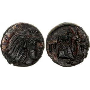 Ancient Greece Pantikapaion Dihalk 340 - 325 BC