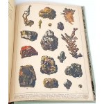 WERMIŃSKI - NATURGESCHICHTE IN BILDERN Botanik und Mineralogie 269 Farbbilder 1893 FOLIO
