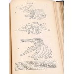 BOAS- PODRĘCZNIK ZOOLOGII 1893 setki rycin