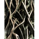 Zbigniew Blajerski, TMMP Bronze 1/8