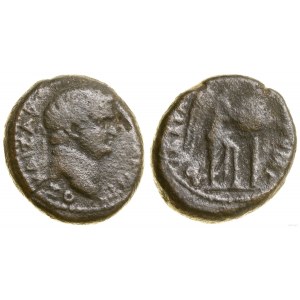 Rzym prowincjonalny, brąz, ok. 71-73