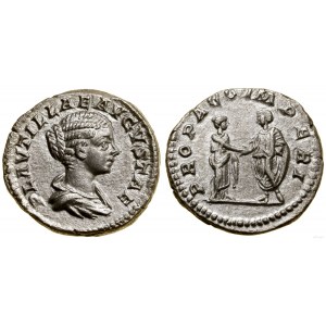 Roman Empire, denarius, 202-205, Rome