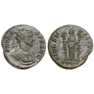 Roman Empire, coin antoninian, 281-282, Rome