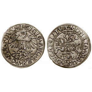 Polen, litauischer Halbpfennig, 1549/8, Vilnius