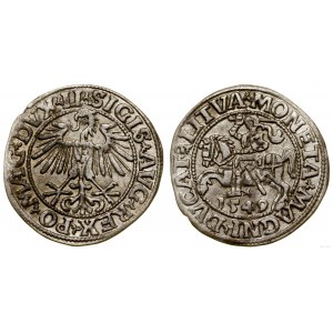 Polska, półgrosz litewski, 1549/8, Wilno