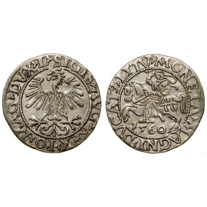 Polska, półgrosz litewski, 1560, Wilno