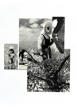 Ewa Rodart, And towards the clouds they went, 2022