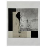 Ewa Rodart, All I could hear was the wind, 2017