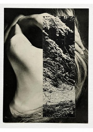 Ewa Rodart, Dust Particles, 2016