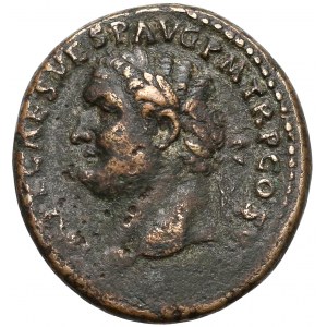 Titus (AD 79-81), AE As, Rome mint, struck AD 80-81.