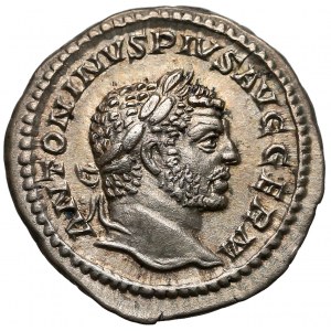 Caracalla (AD 198-217), AR Denarius, Rome mint, AD 208. 