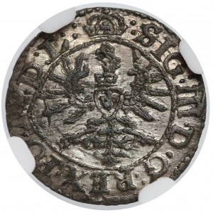 Zygmunt III Waza, Szeląg Wilno 1623 - rozetka - NGC MS63