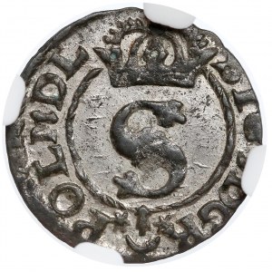 Zygmunt III Waza, Szeląg Bydgoszcz 1623 - NGC MS61