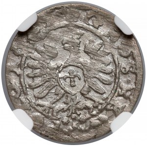 Zygmunt III Waza, Grosz Bydgoszcz 1624 - NGC MS60
