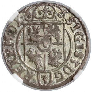 Zygmunt III Waza, Półtorak Bydgoszcz 1623 - NGC MS61