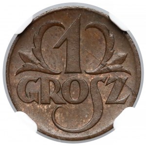 1 grosz 1923 - NGC MS65 BN