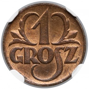1 grosz 1923 - NGC MS66 RB