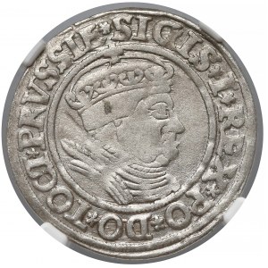 Zygmunt I Stary, Grosz Toruń 1535 - NGC AU55