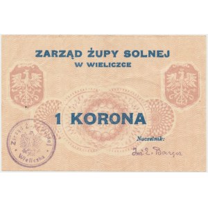 Wieliczka, Zarząd Żupy Solnej, 1 korona (1919)