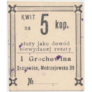 Sosnowice, I. Grochowina, 5 kopiejek - ze stemplem