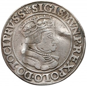 Zygmunt I Stary, Szóstak Gdańsk 1535 - VI nad tarczą - b. rzadki 