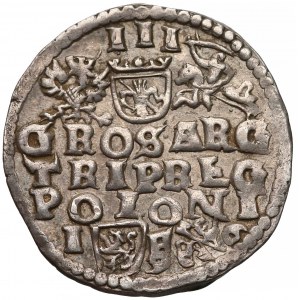 Zygmunt III Waza, Trojak Lublin 1596 - data przy lwie