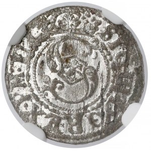 Zygmunt III Waza, Szeląg Ryga 1620 - Lis w lewo - NGC MS62