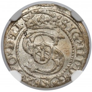 Zygmunt III Waza, Szeląg Ryga 1599 - NGC MS64