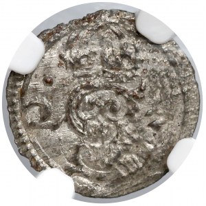 Zygmunt III Waza, Denar Łobżenica 1623 - NGC MS62