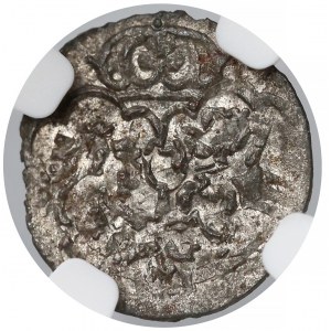 Zygmunt III Waza, Denar Łobżenica 1623 - NGC MS62