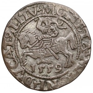 Zygmunt II August, Półgrosz Wilno 1559