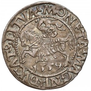 Zygmunt II August, Półgrosz Wilno 1559 - rzadki