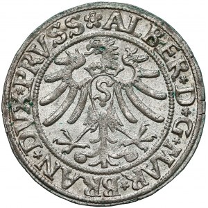 Prusy, Albert Hohenzollern, Grosz Królewiec 1533 - b. ładny
