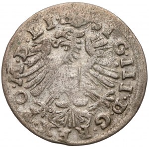 Zygmunt III Waza, Grosz Wilno 1608 - z orłem