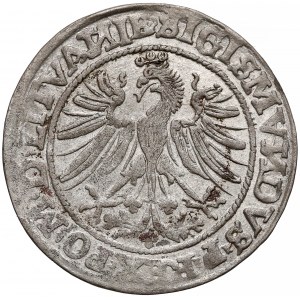 Zygmunt I Stary, Grosz Wilno 1535 - bez liter