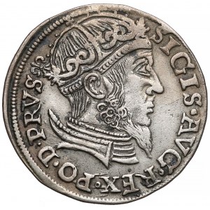 Zygmunt II August, Trojak Gdańsk 1557 - bez obwódki
