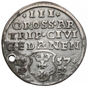 Zygmunt II August, Trojak Gdańsk 1557 - lilijki pod datą