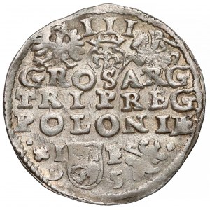 Zygmunt III Waza, Trojak Lublin 1595 - duża głowa