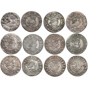 Zygmunt I Stary, Grosze Gdańsk 1531-1540 + Trojak 1538 (12szt)
