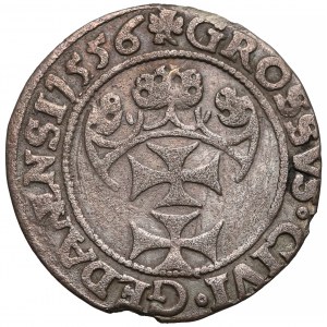 Zygmunt II August, Grosz Gdańsk 1556 - GEDANENSI