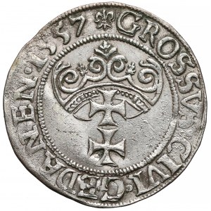 Zygmunt II August, Grosz Gdańsk 1557 - szerokie popiersie