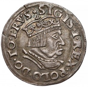 Zygmunt I Stary, Trojak Gdańsk 1536 - ładny
